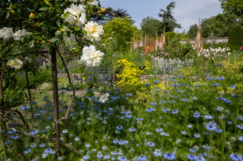 Goodnestone Park Gardens